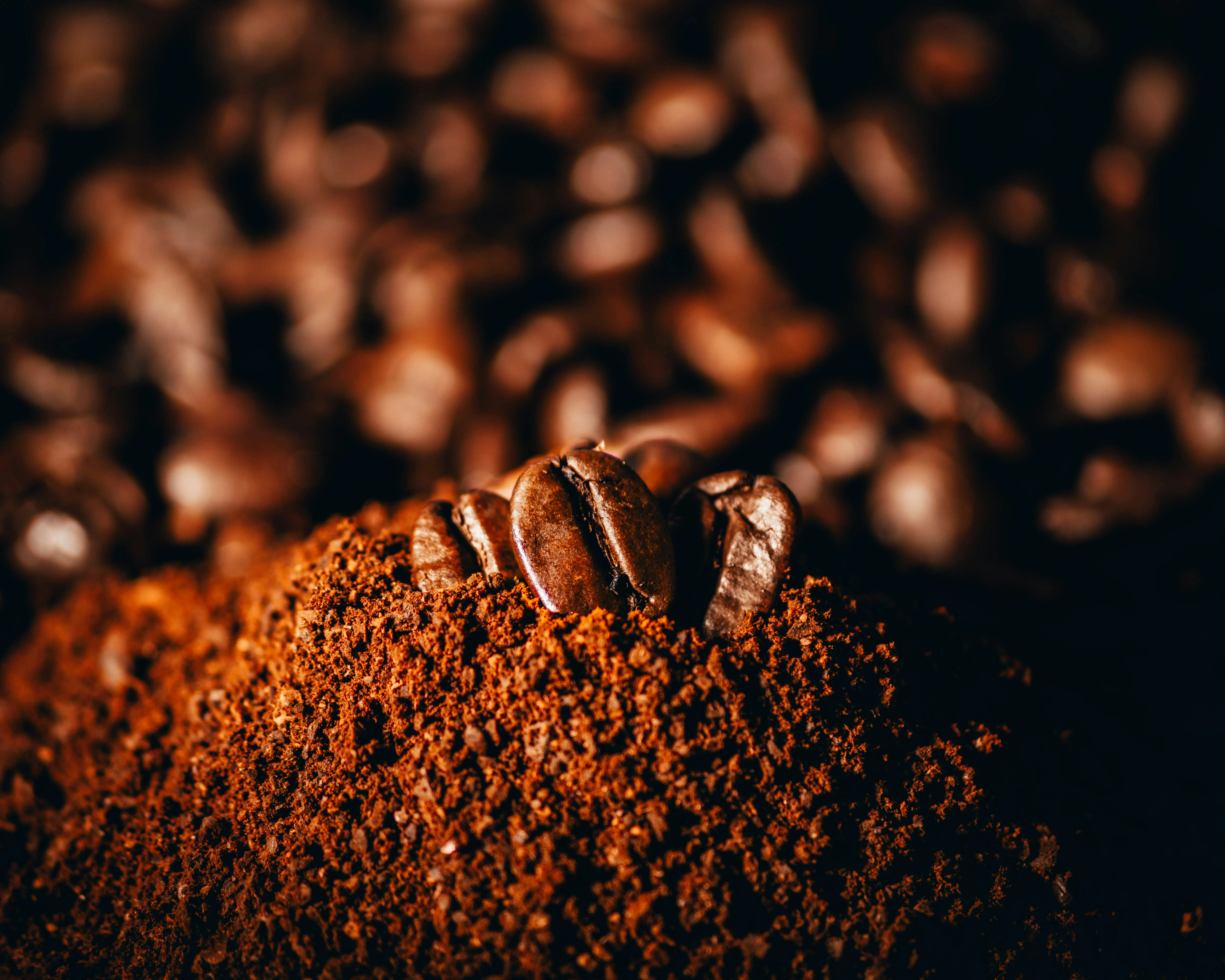 Natural Cocoa Powder