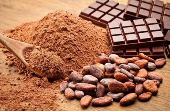 Health Benefits of Cocoa Powder in Daily Diet